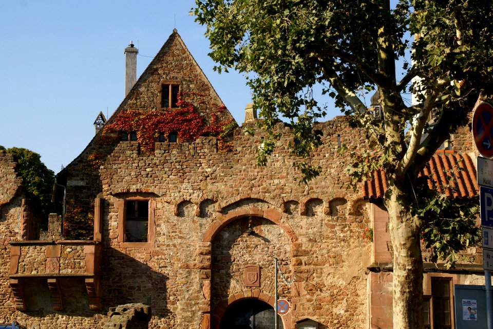 2011.09.25.163631_Tiefburg_Handschuhsheim_Heidelberg