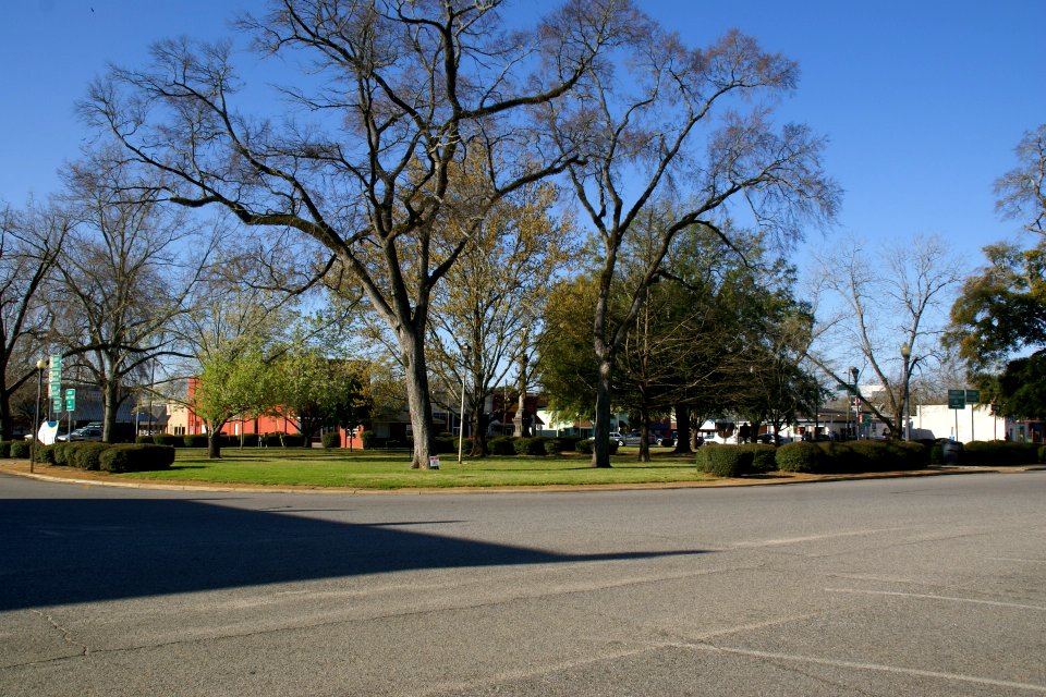 2011.03.12.090039_Main_Sqaure_Cuthbert_Georgia