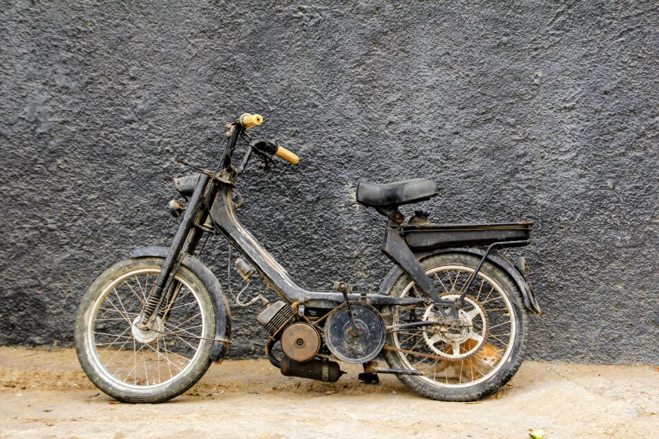 Cat kitten two wheeled vehicle