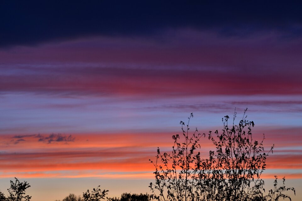 Sky clouds trees