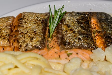 Food fish eat