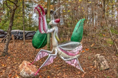 20-20-034-mantis