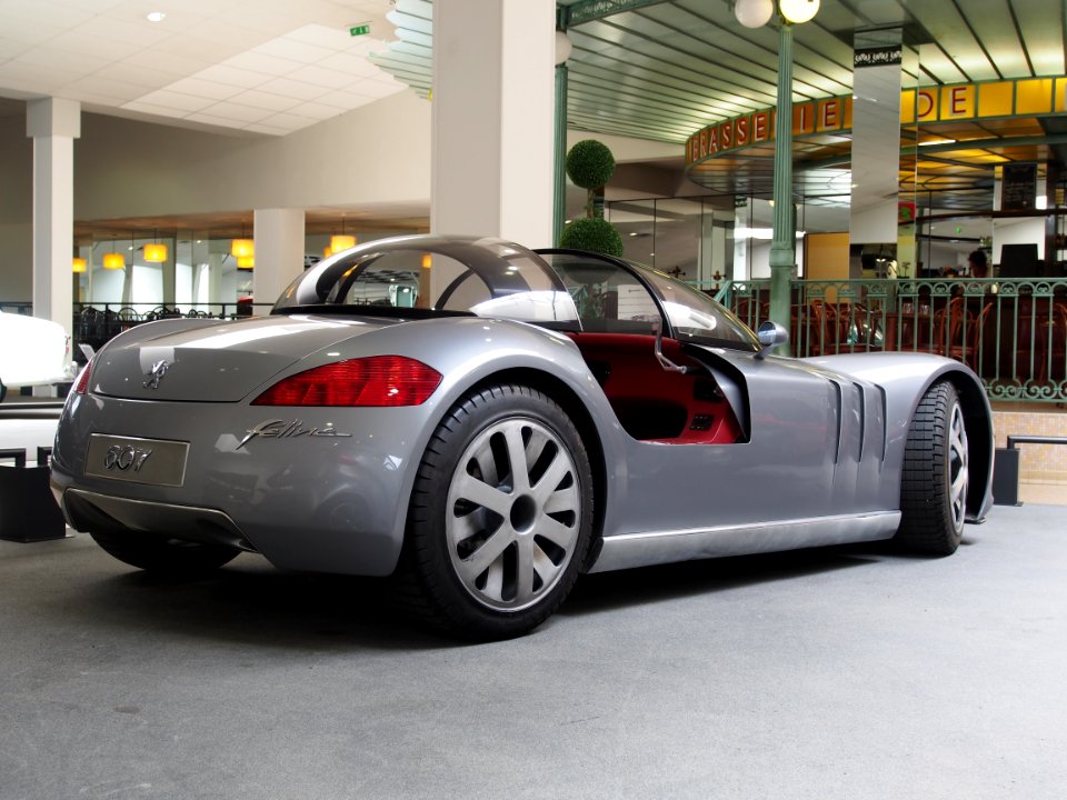 2000_Peugeot_607_Feline
