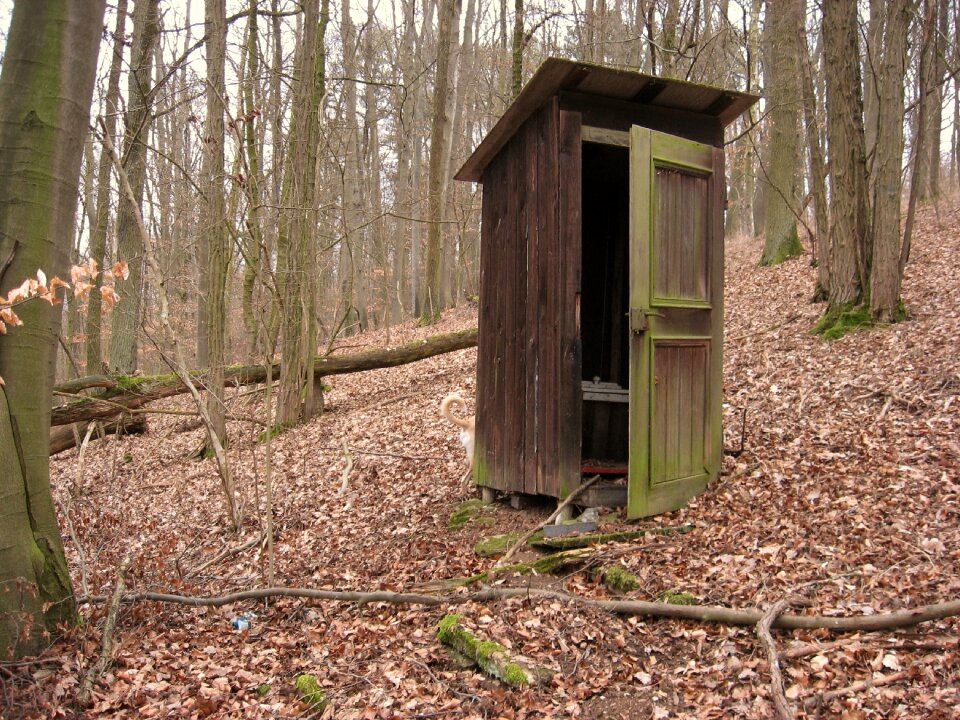 Old toilet wood woman