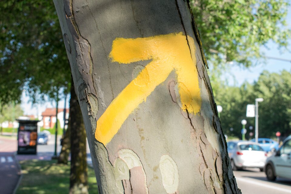 Santiago path street arrow