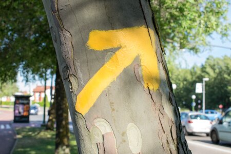 Santiago path street arrow