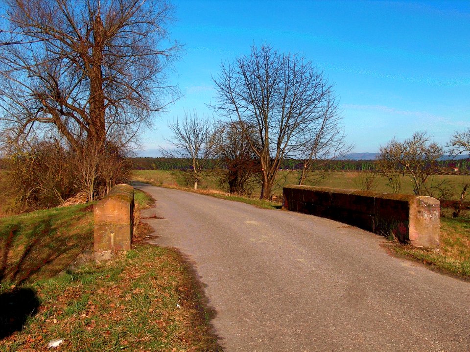20110206Bruecke_Hockenheim3
