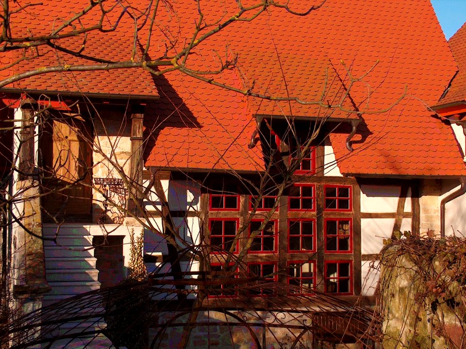 20110206Kloster_Reilingen1