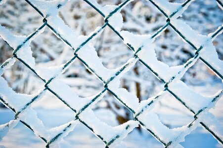 Winter wire mesh garden fence photo