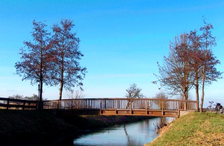 20110206Holzbruecke_Kraichbach_Reilingen