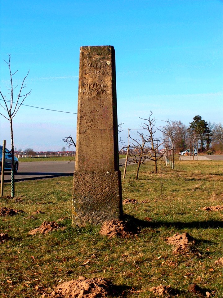 20110206Meilenstein_Reilingen1