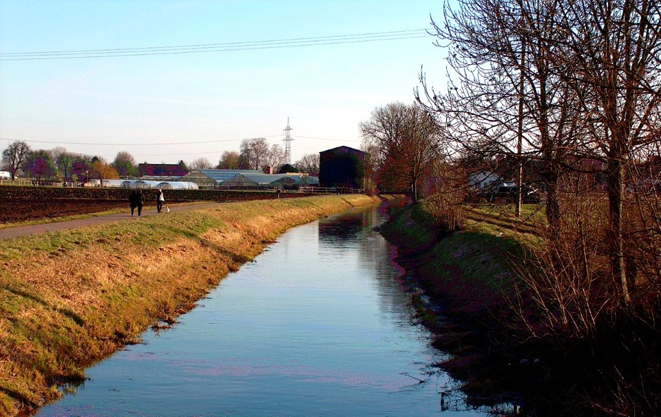 20110206Kraichbach_Reilingen1