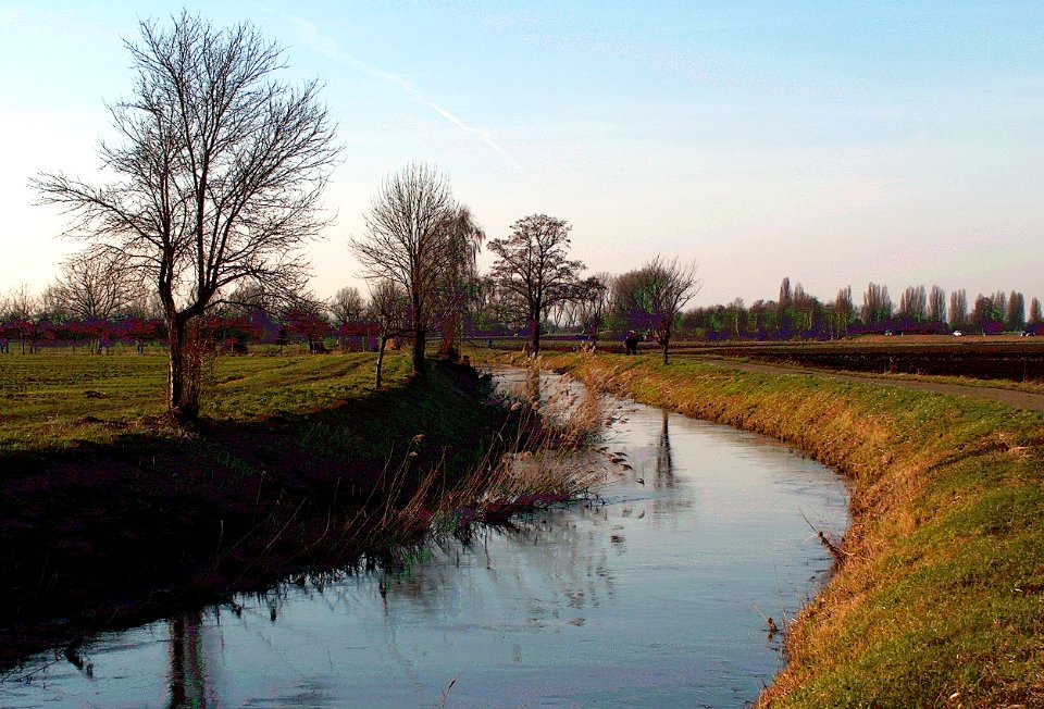 20110206Kraichbach_Reilingen3