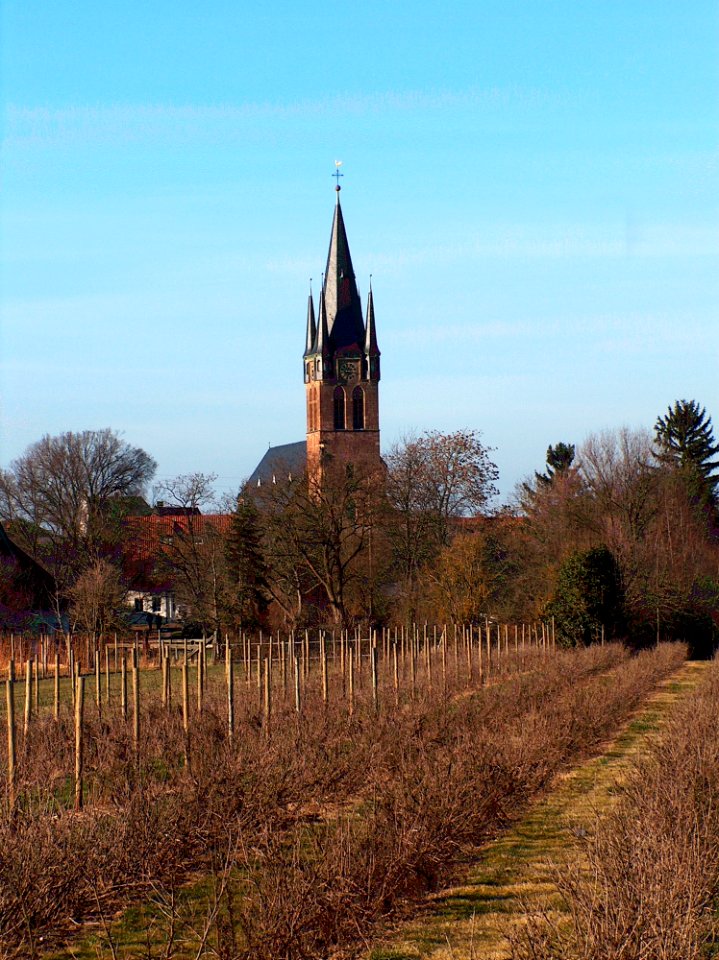 20110206Reilingen_StWendelin1