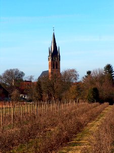20110206Reilingen_StWendelin1