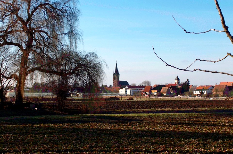 20110206Reilingen_pano