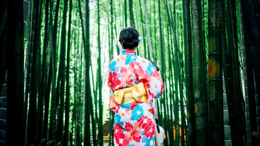 Outdoors trees woman