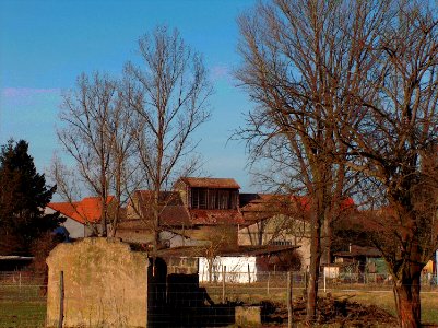 20110206Tabakscheune_Reilingen05
