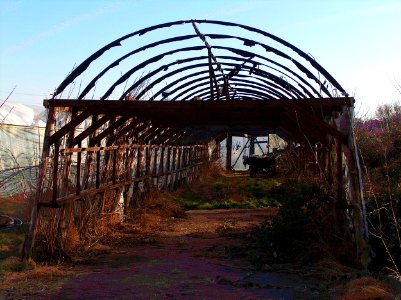 20110206Reilingen_Gewaechshaus