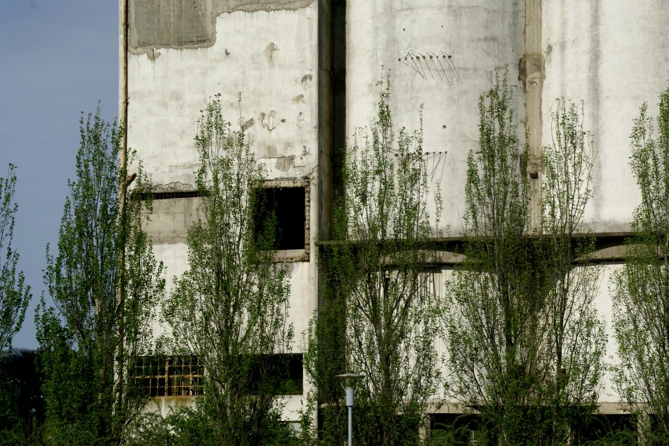 2011.10.17.162222_Ruin_Puerto_Madero_Buenos_Aires