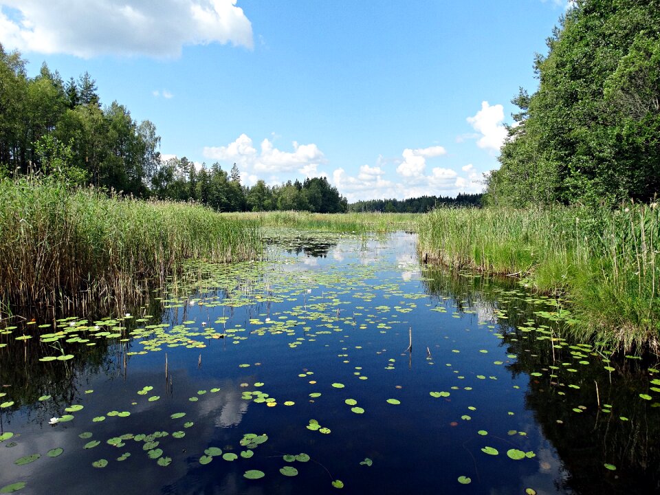Water courses sörmland countryside