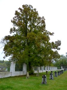 2011_Italsky_vojensky_hrbitov_02