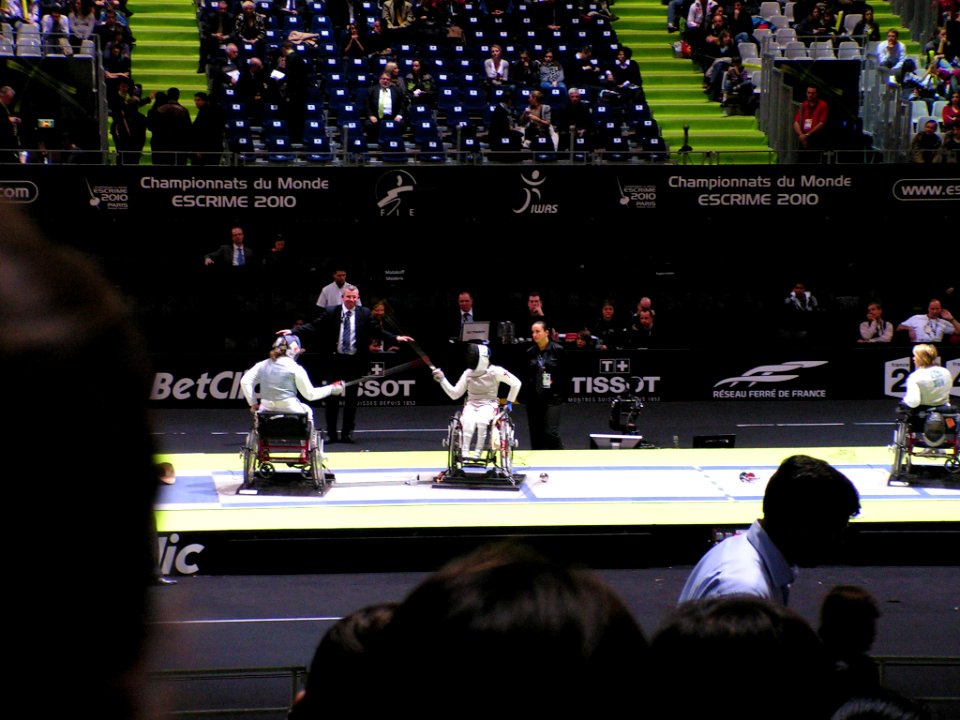 2010_World_Fencing_Championship_-_9_novembre_2010_-_08