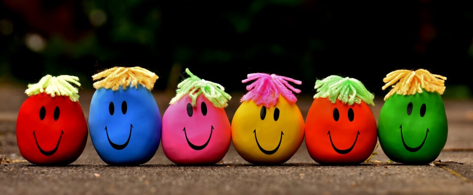 Knead funny colorful
