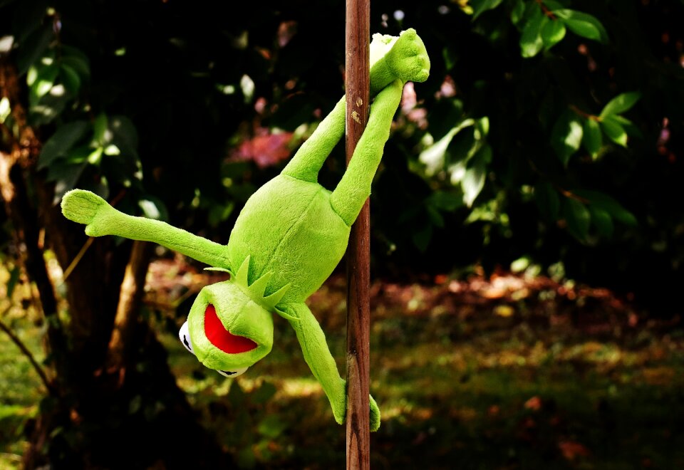 Soft toy animal toys