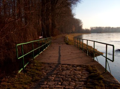 20110117Rhein_Altlussheim2