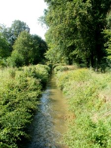 20110826Untere_Lusshart_Kirrlach1
