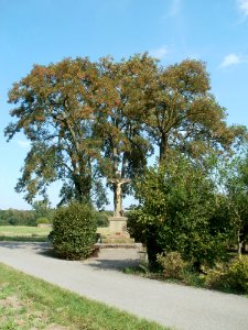 20110826Wegkreuz_Kirrlach1