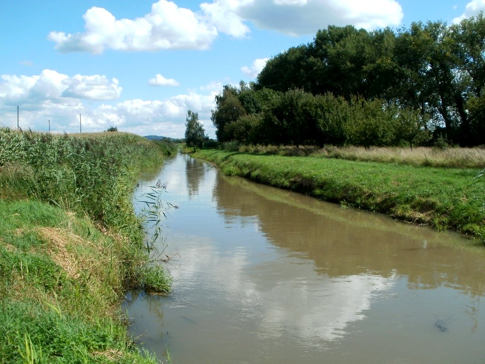 20110815Kraichbach_Reilingen1