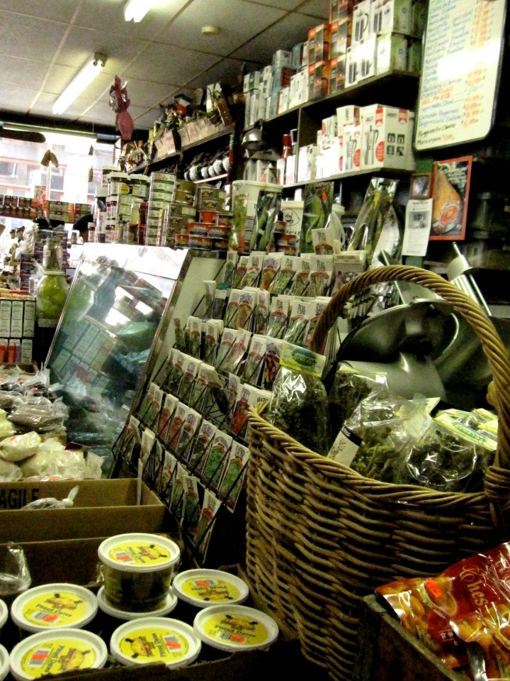 2011_Polcaris_NorthEnd_BostonMA_3173