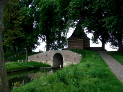20100613_Boerenboom_Enkhuizen_Stadszijde