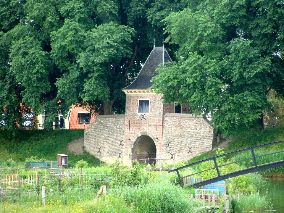 20100613_Boerenboom_Enkhuizen