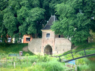 20100613_Boerenboom_Enkhuizen