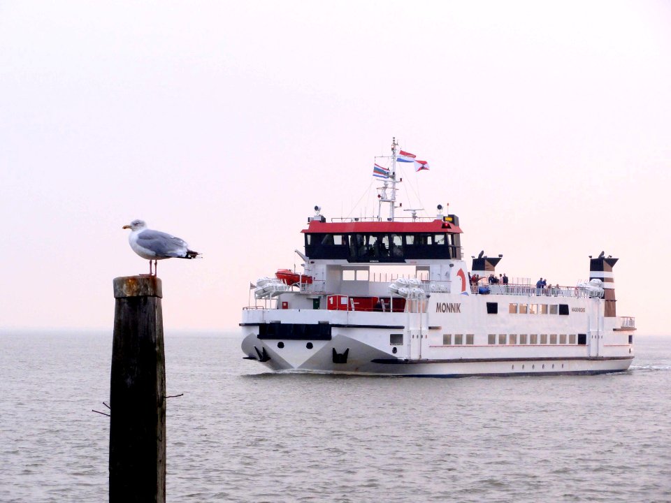 20101005_Monnik_Schiermonnikoog