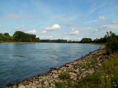 20110828Rhein_Altlussheim1