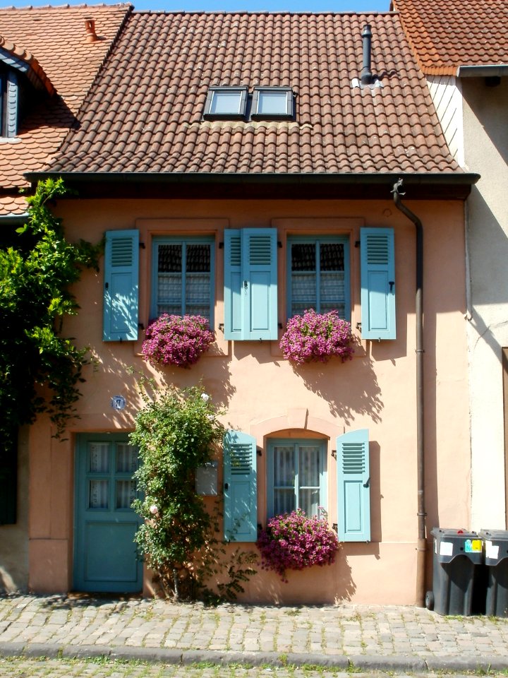 20110818Bruehlstr17_St_Arnual