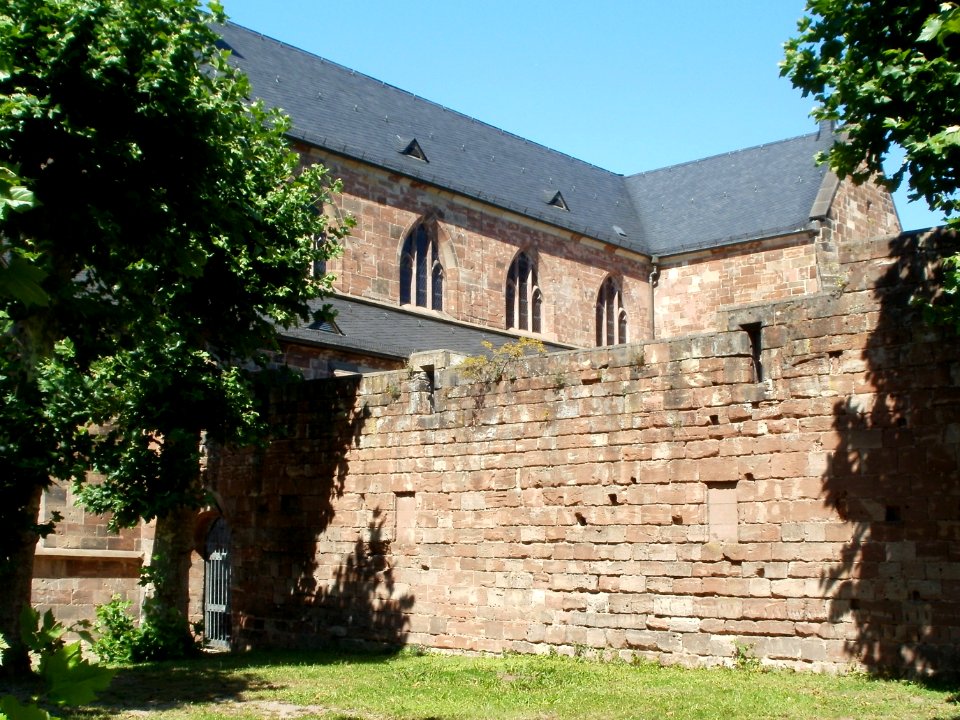 20110818Stiftskirche_St_Arnual06