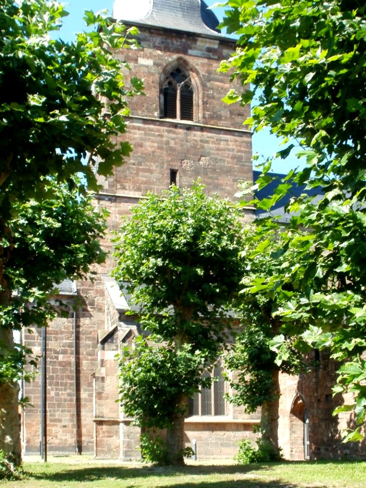 20110818Stiftskirche_St_Arnual07