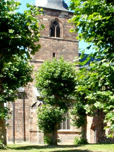 20110818Stiftskirche_St_Arnual07
