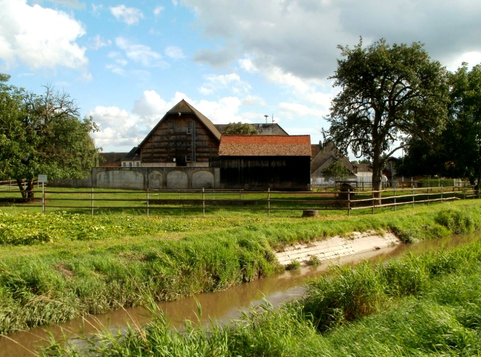 20110815Schloss_Kislau09