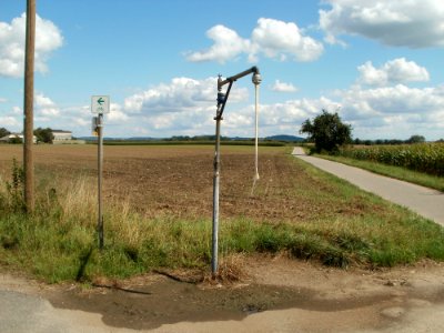 20110815Reilingen