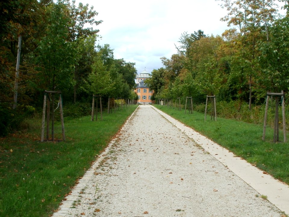 20110812Waghaeusel30