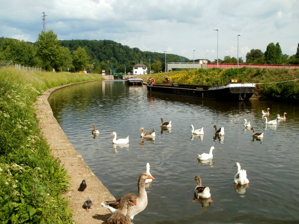 20110519Guedinger_Schleuse3