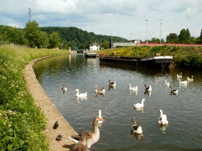 20110519Guedinger_Schleuse3