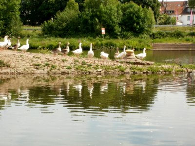 20110519Guedinger_Schleuse9