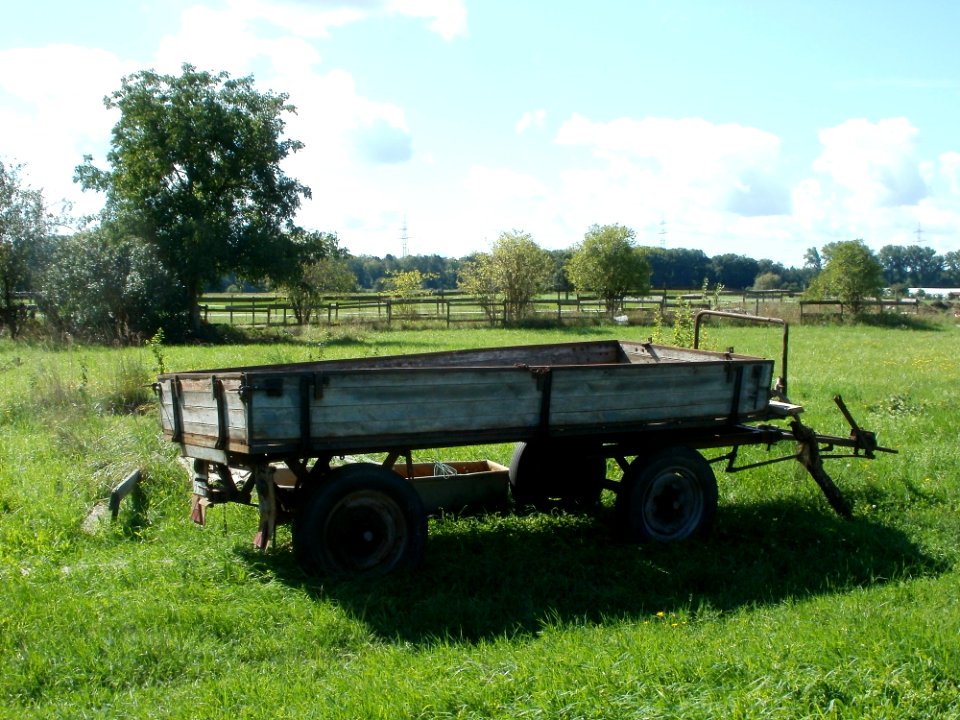 20110829Reilingen1